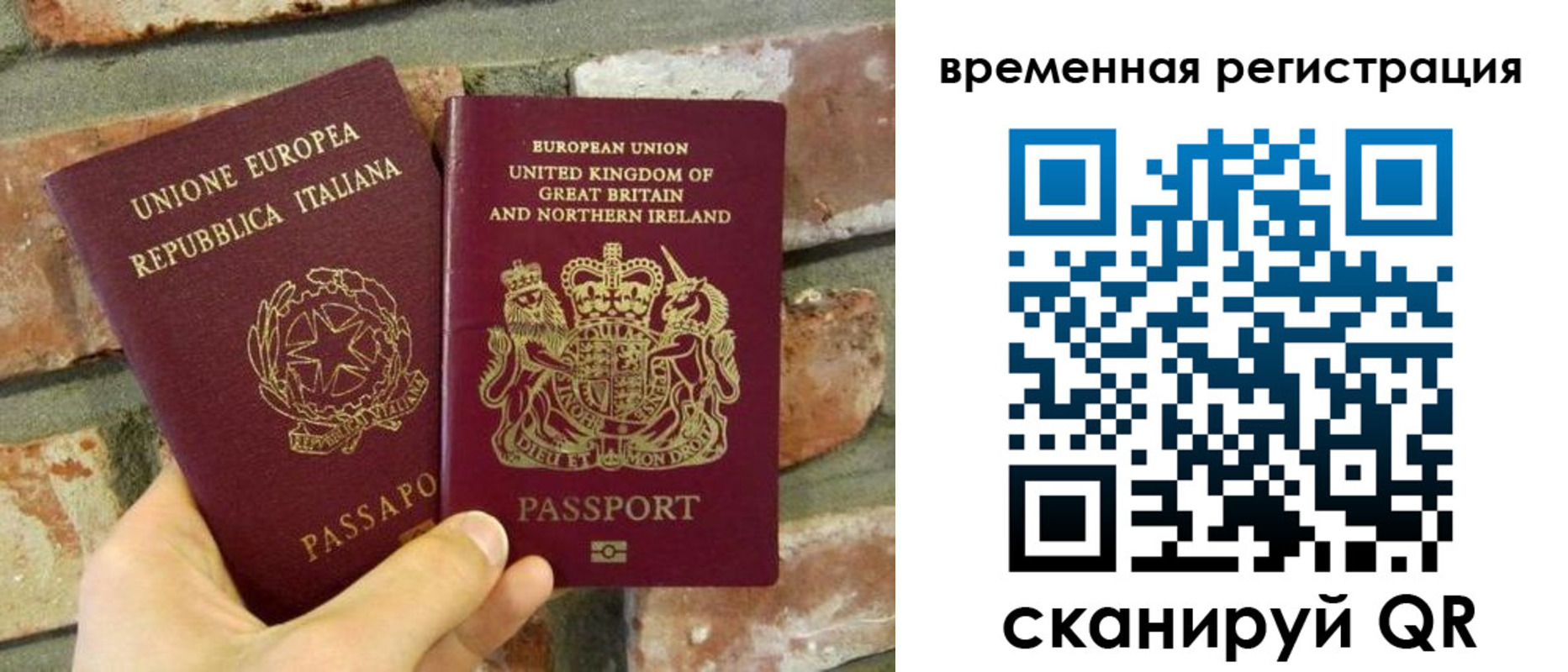 прописка для школы в Апатитах